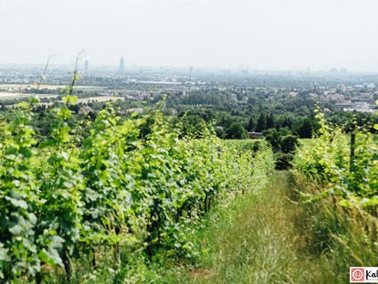 Hochzeit - Sommerhochzeit - Wien - Weingut Weinhandwerk