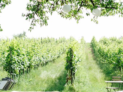Hochzeit - Frühlingshochzeit - Wien - Weingut Weinhandwerk