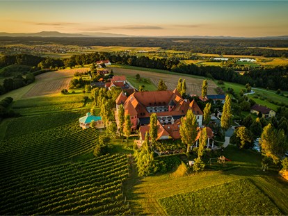 Hochzeit - Sommerhochzeit - Das Weinschloss Thaller umgeben von Weingärten im Thermen- & Vulkanland Steiermark - Weinschloss Thaller