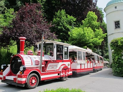 Hochzeit - Sommerhochzeit - Bummelzug "Tratzberg Express", welcher Ihre Gäste die Waldstrasse rauf zum Schloss transportiert - Schloss Tratzberg