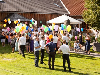 Hochzeit - Frühlingshochzeit - Oberösterreich - Warten auf den Luftballon Start... - Roadlhof