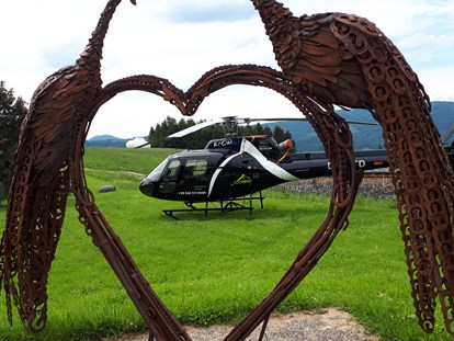 Hochzeit - Frühlingshochzeit - Oberösterreich - Der Feldbauernhof bietet genügend Platz um mit dem Helikopter zur Hochzeit zu Reisen. - Feldbauernhof