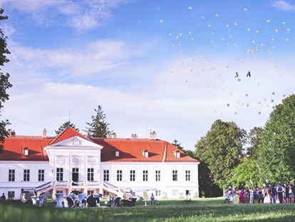 Hochzeit - Hochzeits-Stil: Modern - Wien-Stadt Döbling - Hochzeit im SCHLOSS Miller-Aichholz, Europahaus Wien - Schloss Miller-Aichholz - Europahaus Wien