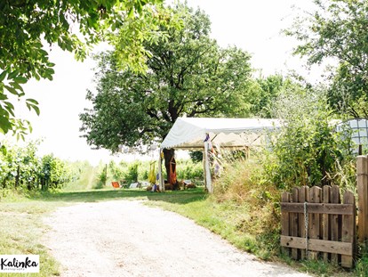 Hochzeit - Umgebung: in Weingärten - Weingut Weinhandwerk