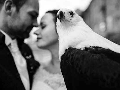 Hochzeit - Art der Location: Scheune - Auch außergewöhnliche Fotoshootings mit den Greifvögeln der Burg sind möglich. - Heiraten auf Schloss Horneck / Eventscheune 