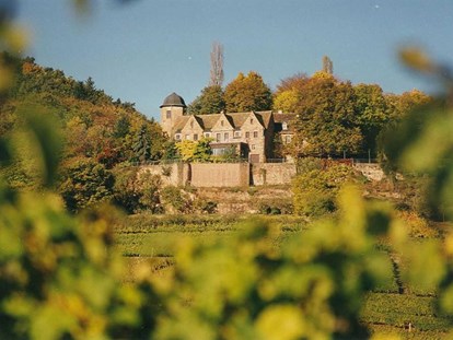 Hochzeit - Art der Location: Eventlocation - Annweiler am Trifels - Schloss Kropsburg - Draufsicht - Schloss Kropsburg