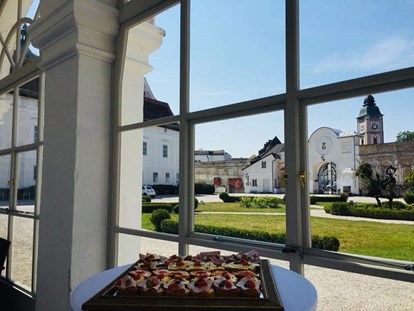 Hochzeit - Umgebung: im Park - Mittagsagape belegte Brötchen bevor es weiter zur kirchlichen Trauung geht - Schloss Events Enns