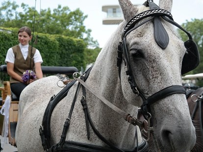 Hochzeit - Hochzeitskutsche (hauseigene Pferdestall) - VILA VITA Pannonia