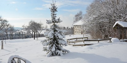 Hochzeit - Oberösterreich - Winterzauber - Vedahof - Gramastetten