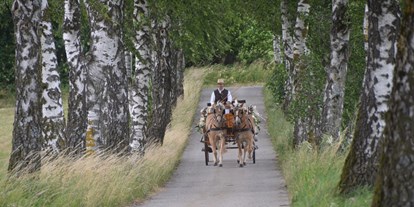 Hochzeit - Oberösterreich - mit der Kutsche durch die Birkenallee - Vedahof - Gramastetten