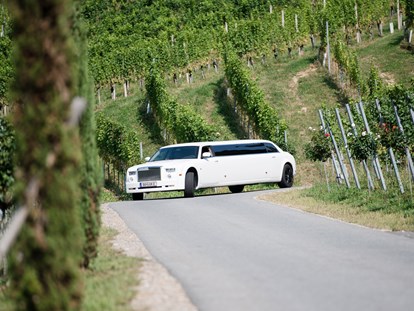 Hochzeit - Ladestation für Elektroautos - Weingut Georgiberg