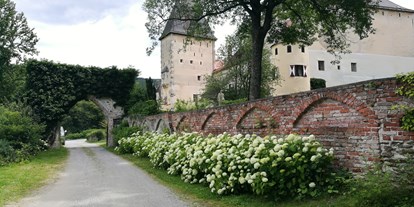 Hochzeit - Art der Location: Burg - Wiener Alpen - Burg Feistritz - Burg Feistritz