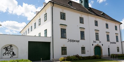 Hochzeit - Art der Location: im Freien - Schloßhof - Schloss Raggendorf außen - Schloss Raggendorf