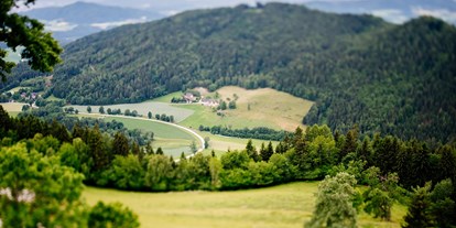 Hochzeit - Preisniveau: günstig - Blick auf das Klagenfurter Becken - Gipfelhaus Magdalensberg