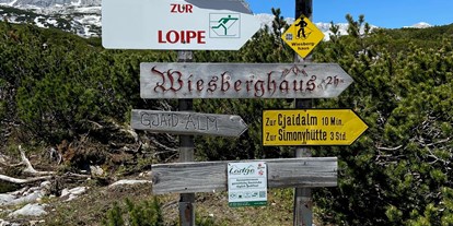 Hochzeit - Umgebung: am Land - Oberösterreich - Gjaid Alm am Krippenstein 