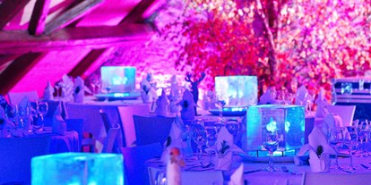Hochzeit - Geeignet für: Vernissage oder Empfang - Schweiz - Wintizauber Dinnerspektakel jährlich wiederkehrend - ROTE TROTTE Winterthur