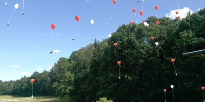 Hochzeit - interne Bewirtung - Zehdenick - Luftballons auf Wiese - Gut Sarnow - Hotel, Restaurant und Reitanlage