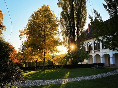 Hochzeit - Geeignet für: Filmproduktionen - Rauchwart - Schloss Welsdorf