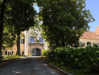 Hochzeit - Preisniveau: exklusiv - Gnas - Schloss Welsdorf