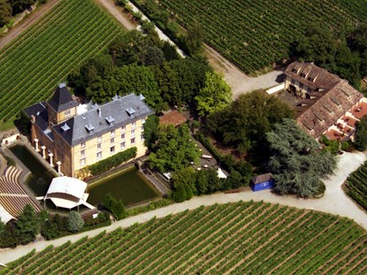 Hochzeit - Preisniveau: hochpreisig - Edesheim - Luftaufnahme - Hotel Schloss Edesheim