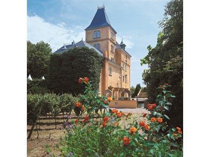 Hochzeit - Art der Location: Weingut/Heuriger - Hotel Schloss Edesheim