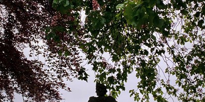 Hochzeit - Hochzeits-Stil: Rustic - Sauerland - Alte Bäume, Statuen und Brunnen schaffen eine ehrwürdige Atmosphäre im Schlosshof und Rosengarten. - Schloss Friedewald (Westerwald)