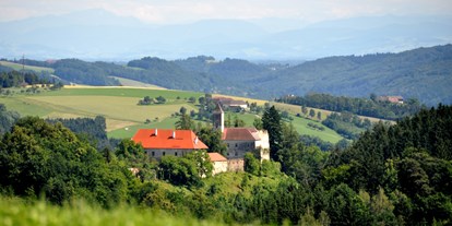 Hochzeit - Art der Location: Schloss - Wels (Wels) - Einsam, mitten in den grünen Hügeln des Mühlviertels, nur 20 Autominuten von Linz - das stille Schloss Eschelberg - Schloss Eschelberg