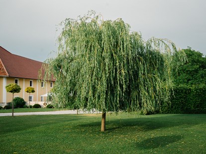 Hochzeit - Hochzeits-Stil: Industrial - Parkanlage des Oberbauergutes  - Oberbauergut