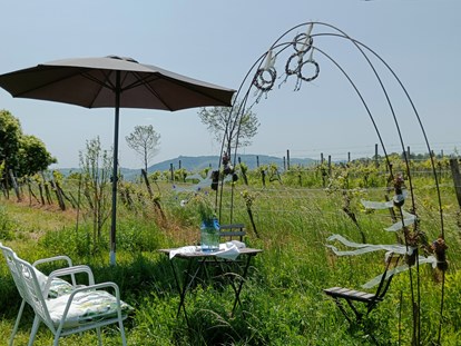 Hochzeit - Umgebung: in Weingärten - Villa Weinhandwerk