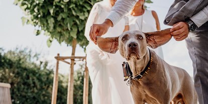Hochzeit - Hunde erlaubt - Essenheim - Weingut FLUHR-ELLER