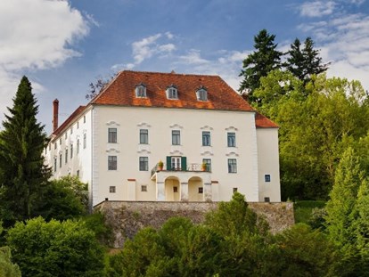 Hochzeit - Hochzeitsessen: mehrgängiges Hochzeitsmenü - Schloss Ernegg in Niederösterreich  - Schloss Ernegg