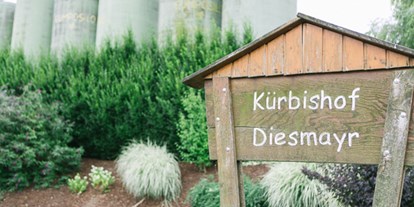Hochzeit - Karlstetten - Heiraten Sie im Kürbishof Diesmayr im Niederösterreich. - Kürbishof Diesmayr