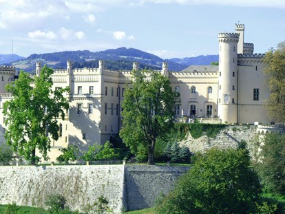 Hochzeit - Standesamt - Schloss Wolfsberg in Kärnten  - Schloss Wolfsberg