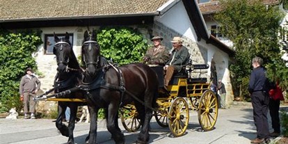 Hochzeit - Trauung im Freien - Pinzgau - Hochzeitkutsche - Alpengasthof Almrose