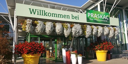 Hochzeit - Parkplatz: Busparkplatz - Weinviertel - Praskac Das Pflanzenland - Eventglashaus - Praskac Das Pflanzenland
