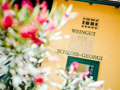 Hochzeit - Parkplatz: Busparkplatz - Weingut Schloss Georgi - Georgi Schloss und Weingut