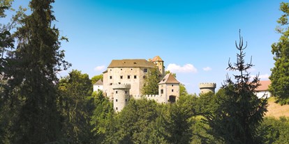 Hochzeit - Art der Location: Burg - Schönbühel an der Donau - Burg Plankenstein - Burg Plankenstein