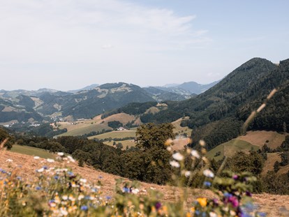 Hochzeit - Umgebung: in den Bergen - Oberösterreich - herrlicher Ausblick am Rieglergut - Rieglergut