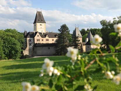 Hochzeit - Art der Location: Eventlocation - Schloss Ottenstein - Schloss Ottenstein
