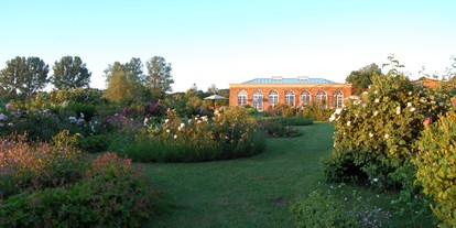 Hochzeit - Umgebung: im Park - Benz (Nordwestmecklenburg) - Orangerie Groß Siemen im Rosengarten - Gut Gross Siemen