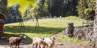 Hochzeit - Herbsthochzeit - Oberbayern - Die Weide lädt auch zum spielen und Feiern ein - Bergpension Maroldhof