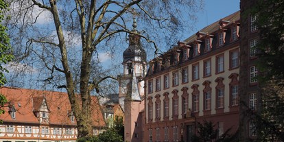 Hochzeit - Umgebung: in einer Stadt - Erbach (Odenwaldkreis) - Innenhof Schloss Erbach - Schloss Erbach