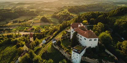 Hochzeit - Art der Location: Weingut/Heuriger - Weichselbaum (Weichselbaum) - Luftaufnahme des Schloss Kapfenstein in der Steiermark. - Schloss Kapfenstein Hotel Restaurant