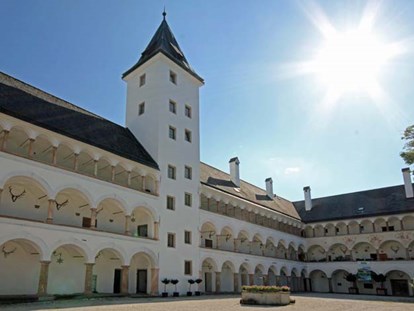 Hochzeit - Art der Location: Schloss - Die Arkadengänge von Landschloss Parz werden von 100 Säulen getragen. - Landschloss Parz