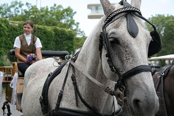 Hochzeit: Hochzeitskutsche (hauseigene Pferdestall) - VILA VITA Pannonia