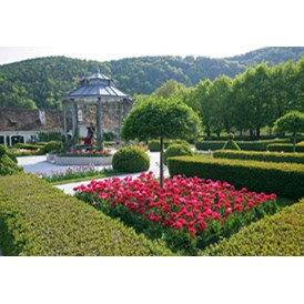 Hochzeit: Historischer Rosengarten bei Schloss Herberstein 
 - Gartenschloss Herberstein