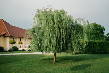 Hochzeit: Parkanlage des Oberbauergutes  - Oberbauergut