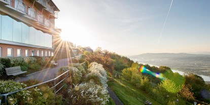 Hochzeit - Garten - Scheibbs - Die atemberaubende Aussicht vom Hotel Schachner auf die Donau und das imposante Voralpenpanorama. - Hotel Schachner****